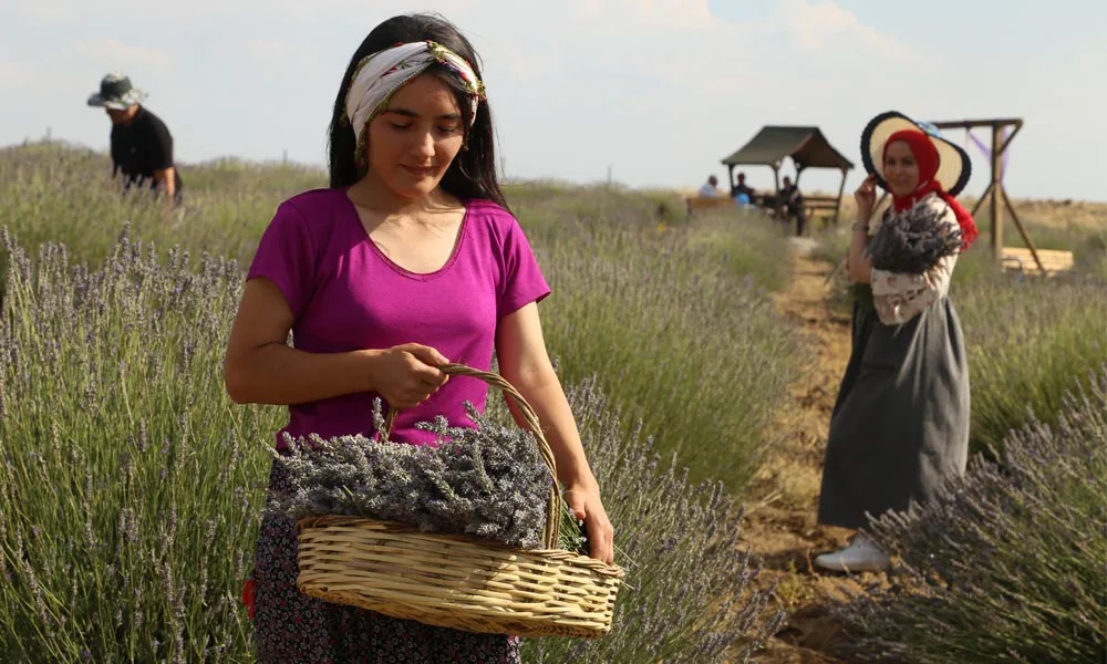 FOTOĞRAF SEVERLER, ARGUVAN İLÇESİNİN DOĞAL GÜZELLİKLERİNİ OBJEKTİFLERİNE YANSITTI