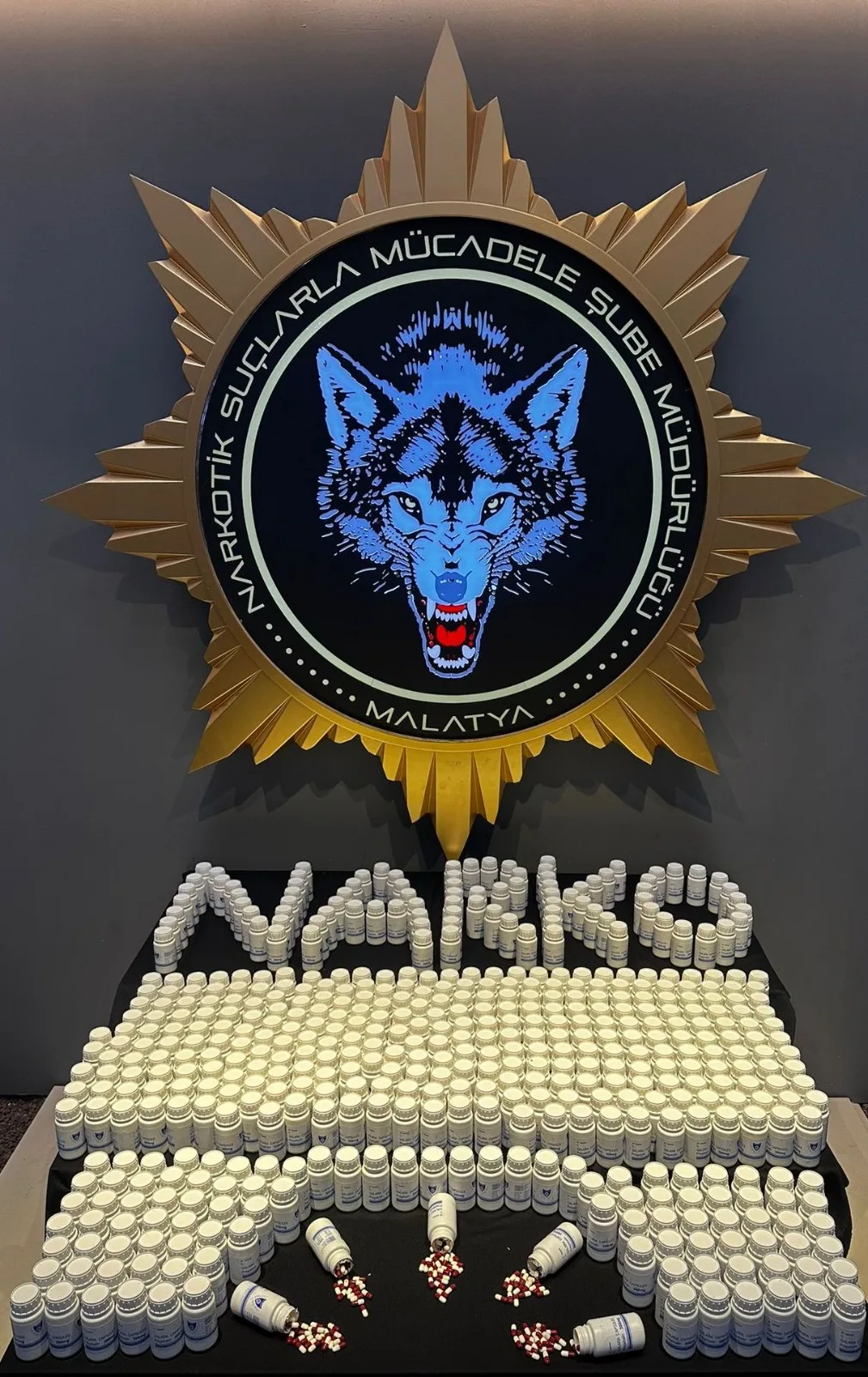 Narkotik Suçlarla Mücadele Şube Müdürlüğü