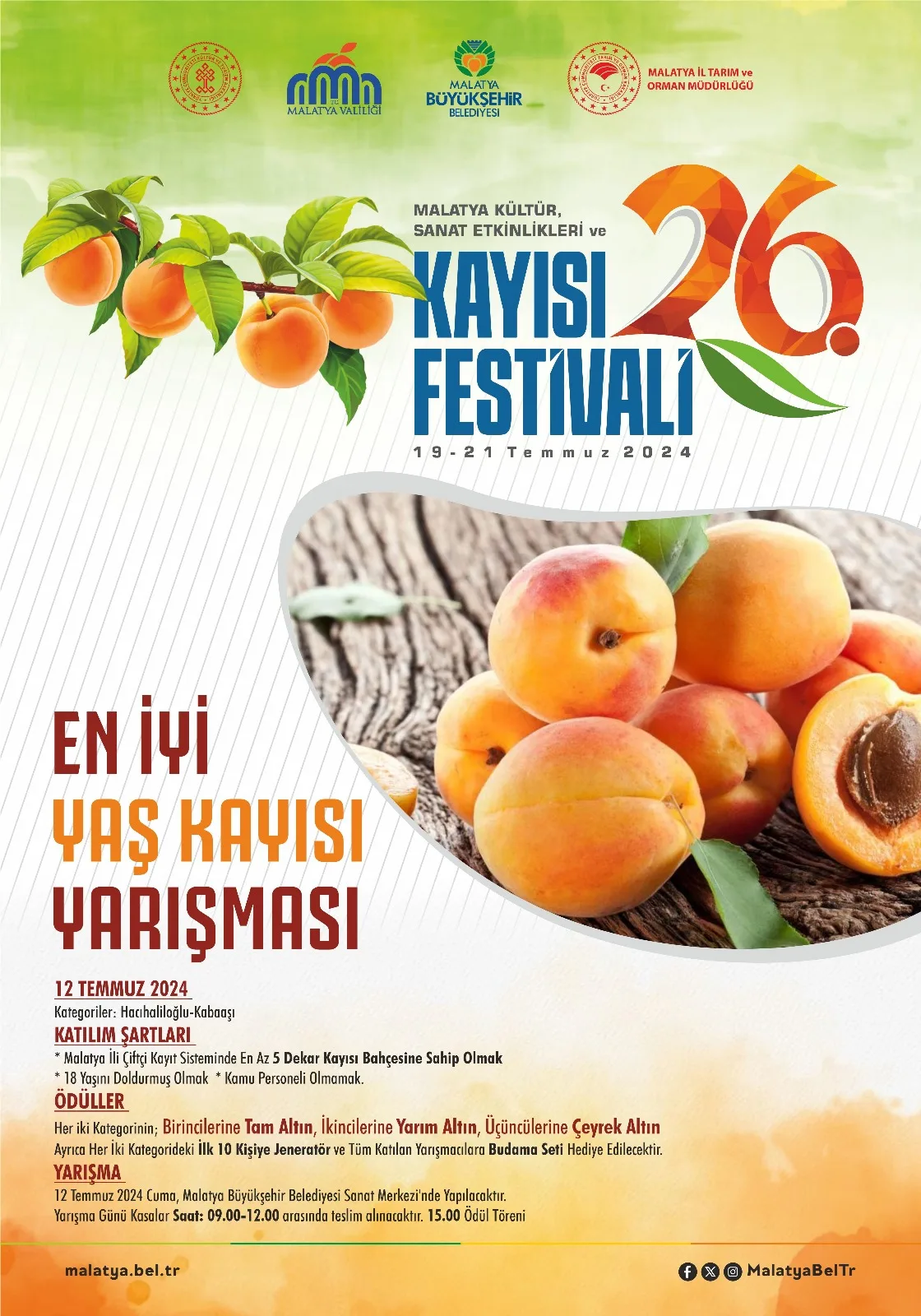 YAŞ KAYISI YARIŞMASI 12 TEMMUZ’DA YAPILACAK