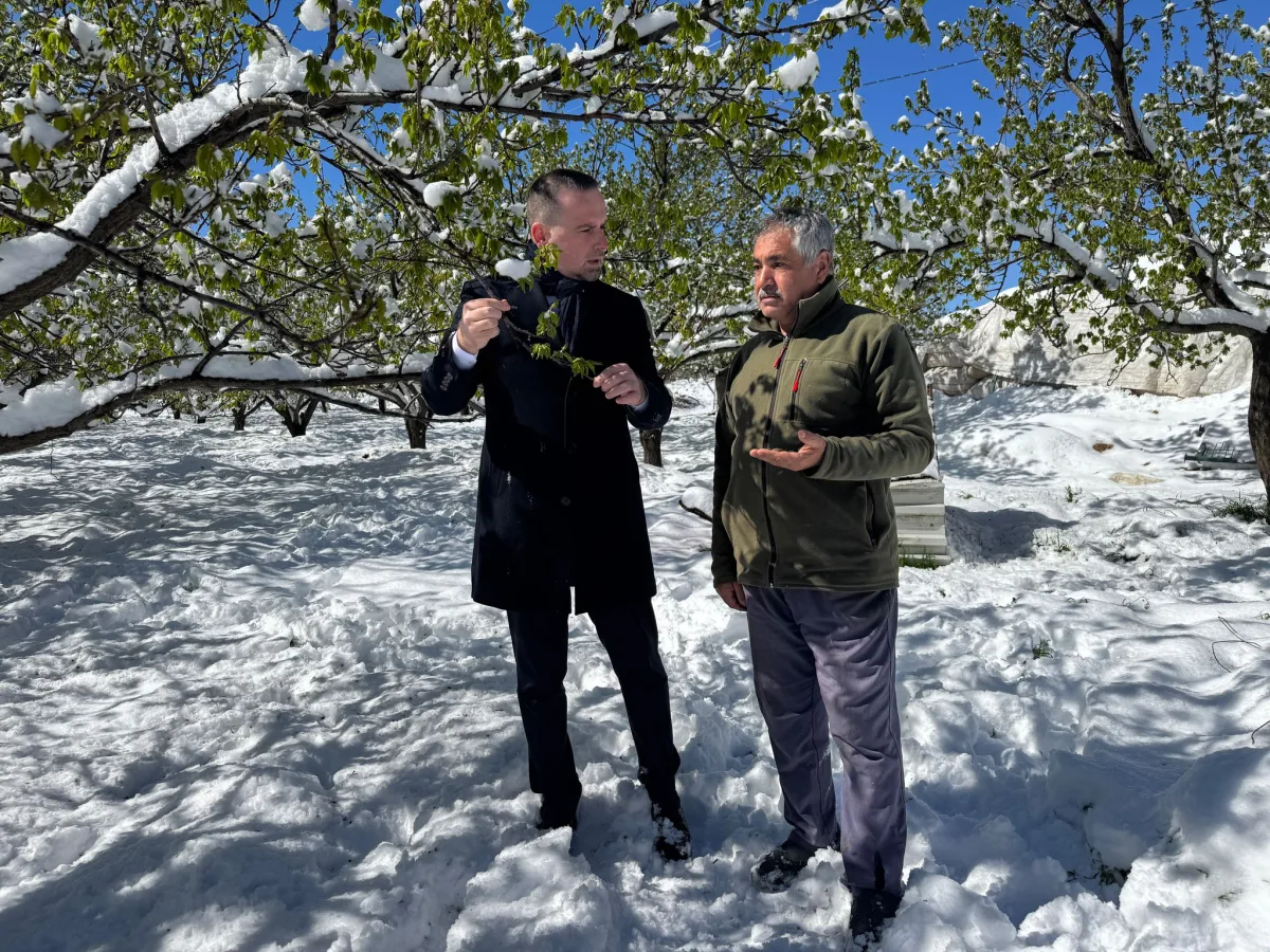 MALATYA ACİL AFET BÖLGESİ İLAN EDİLMELİDİR: NİSAN KARI ÇİFTÇİLERİN UMUDUNU SÖNDÜRDÜ"