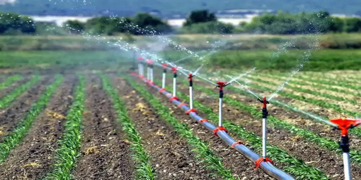Ziraat Odaları Seçimleri Neden Yapılmıyor?