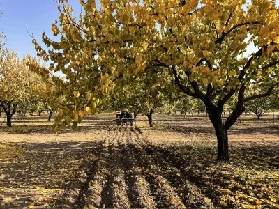 Gelen İddialara Göre Ziraat Odaları Seçimleri Erteleniyor: