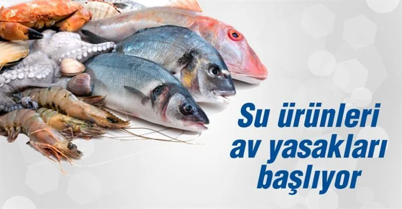 Su Ürünleri İçin Kritik Dönem: Av Yasağı Başlıyor