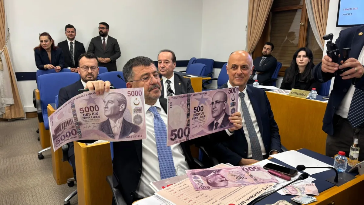 Türk Lirası Hepimizin Onuruydu, Kaybettik.