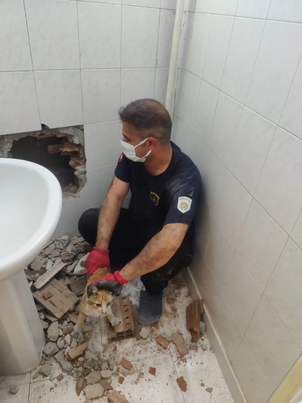 KERNEK’TE NEFES KESEN KURTARMA: MAHSUR KALAN KEDİ 2 SAATTE KURTARILDI.