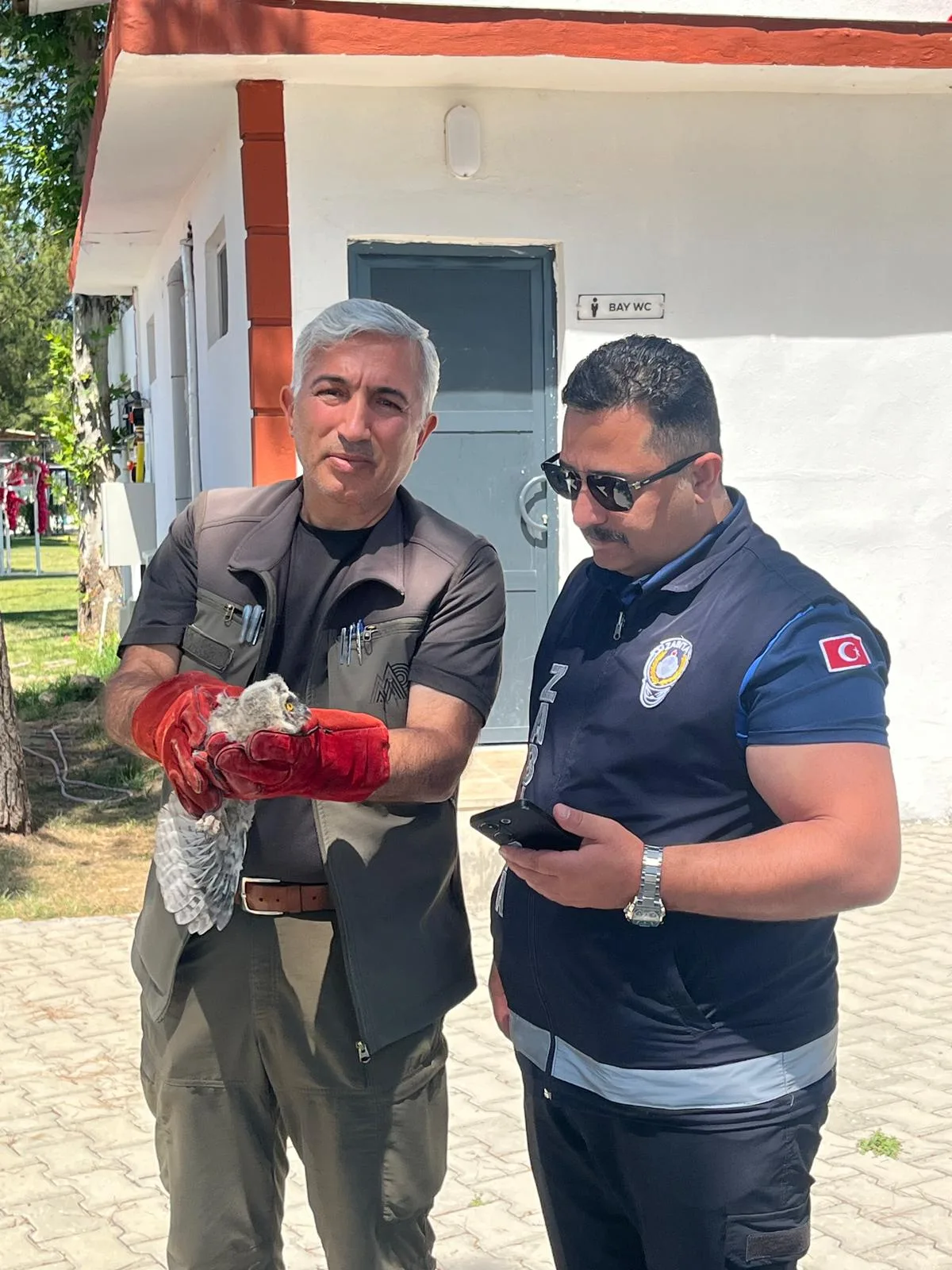Battalgazi Zabıtası Doğaya Sahip Çıktı: Yavru Baykuş Kurtarıldı