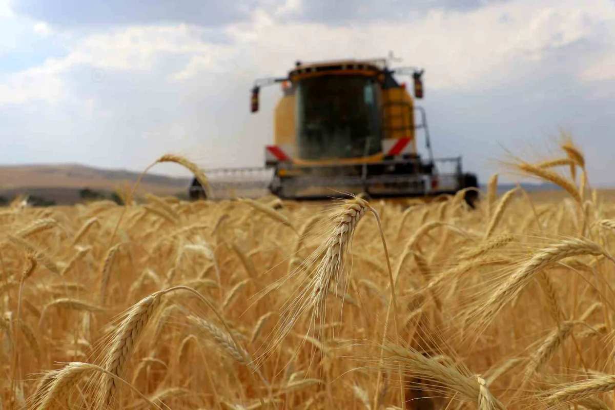 Malatyalı Çiftçilere Müjde! 110 Milyon 476 Bin Liralık Destek Ödemesi Bugün Hesaplarda.