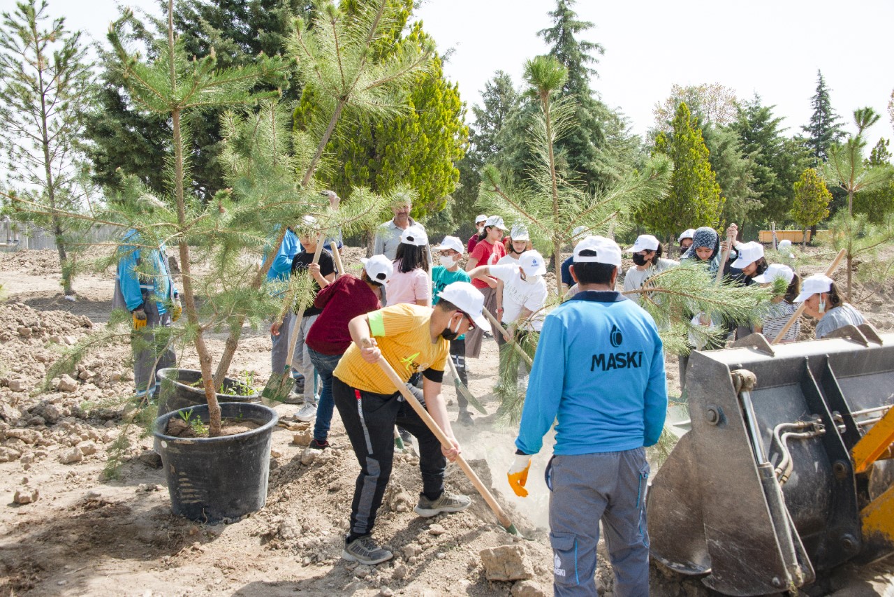 Arıtma Tesisi Alanına 300 Fidan Dikildi