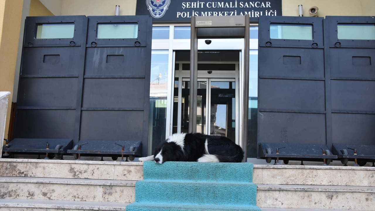 Doğanşehir Şehit Cumali Sancar Polis Merkezi Amirliği