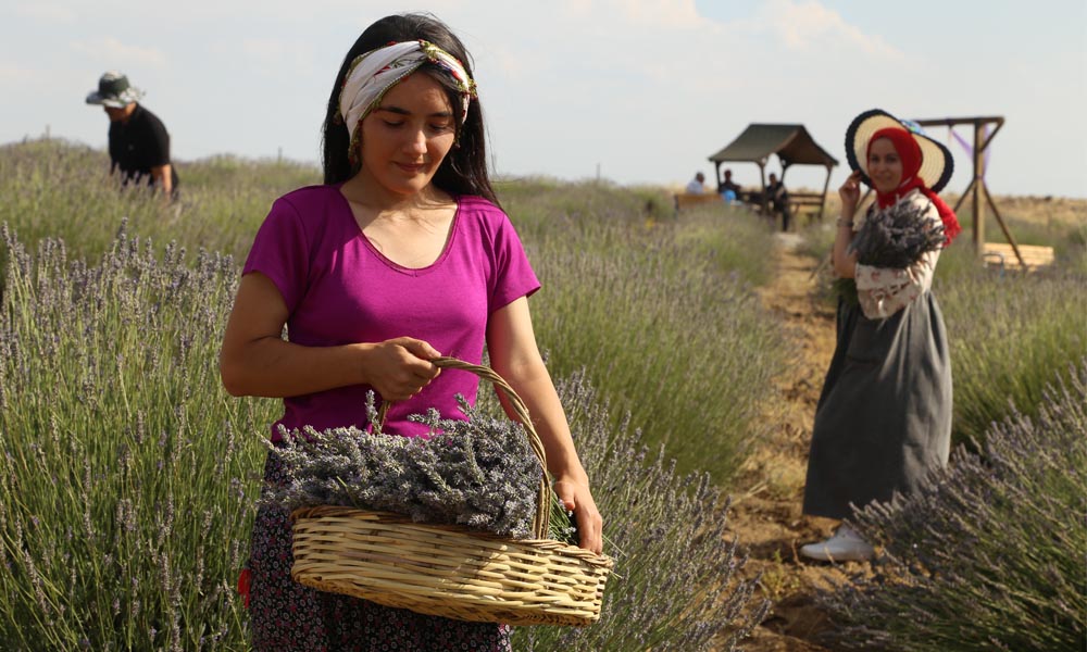 FOTOĞRAF SEVERLER, ARGUVAN İLÇESİNİN DOĞAL GÜZELLİKLERİNİ OBJEKTİFLERİNE YANSITTI