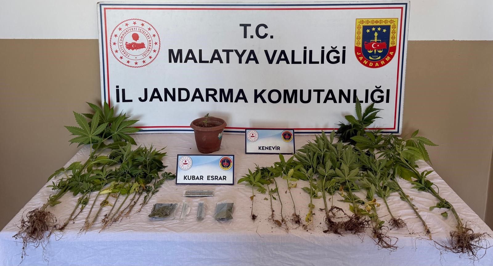 Jandarma Tarafından Narkotik Operasyonu Gerçekleşti
