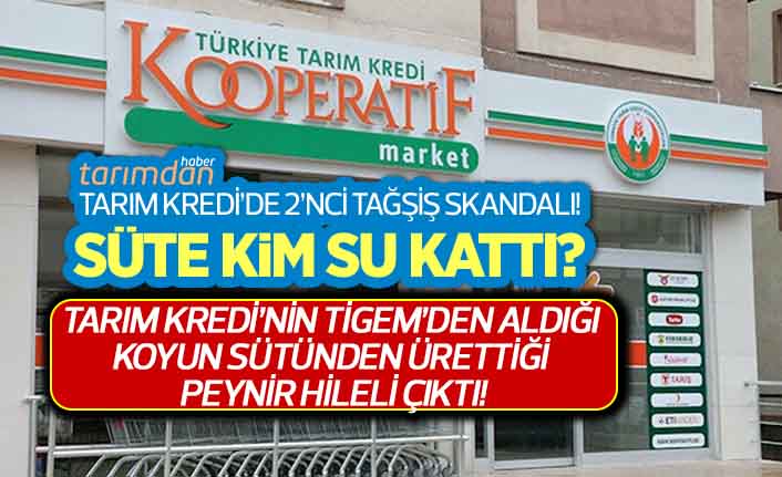 Tarım Kredi Kooperatifinde Satılan Tulum Peyniri Hileli Çıktı