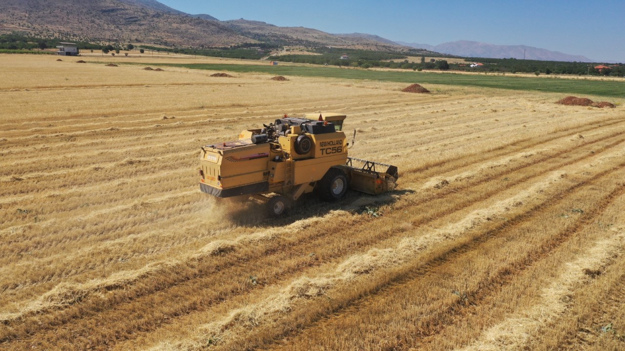 Yeşilyurt Belediyesi Tarımsal Üretim ve Ar-Ge Sahasında Arpa Üretimi Hız Kazandı