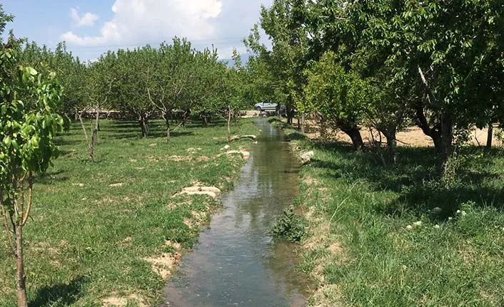 SULAMA BİRLİKLERİ NE İŞ YAPIYOR?